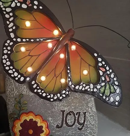 Joy Apartamento